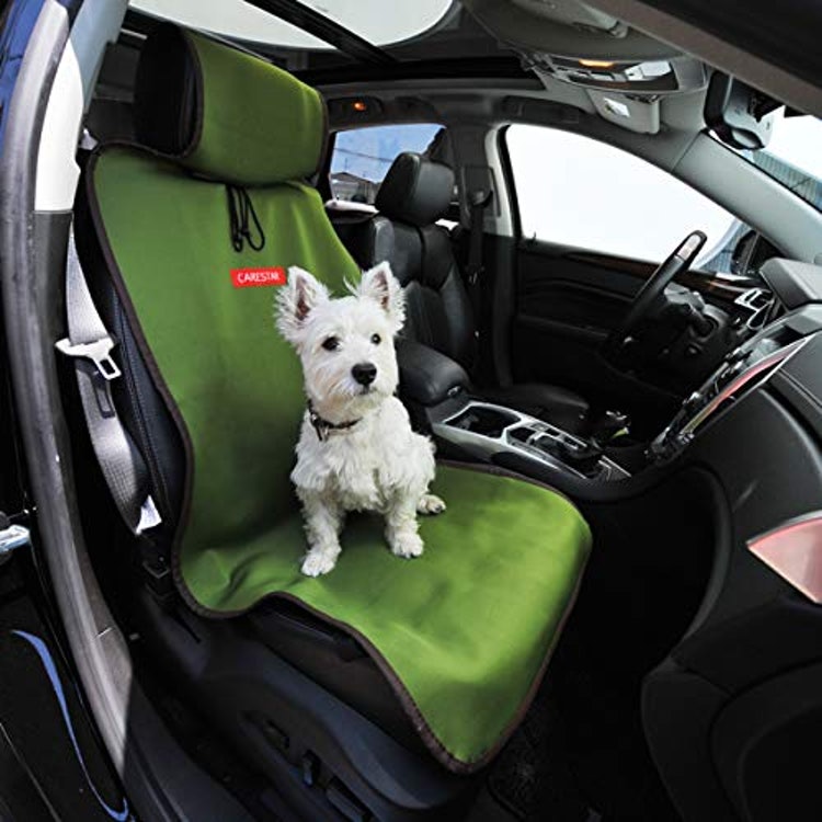 カーシート　車